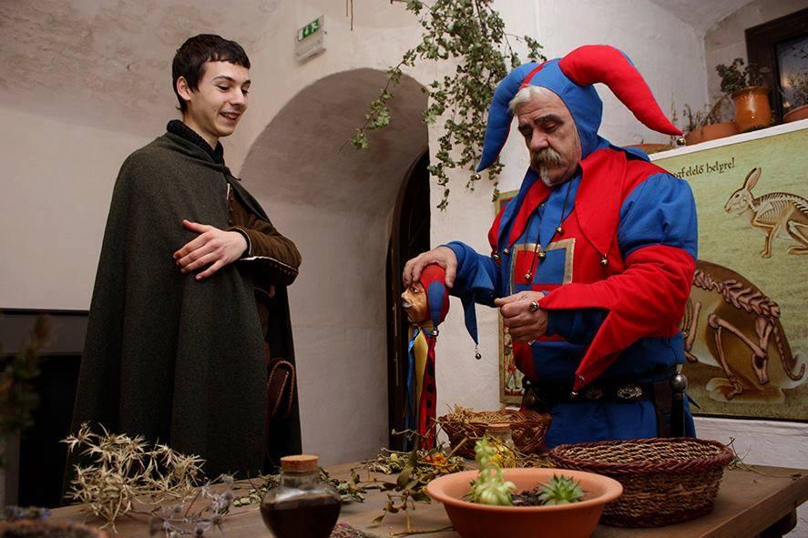 Gyógynövényismereti előadás a Fűszerek világa szobában