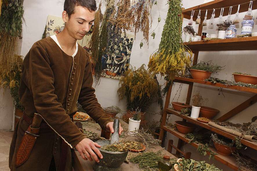 Pászk Norbert gyógynövényszakértő