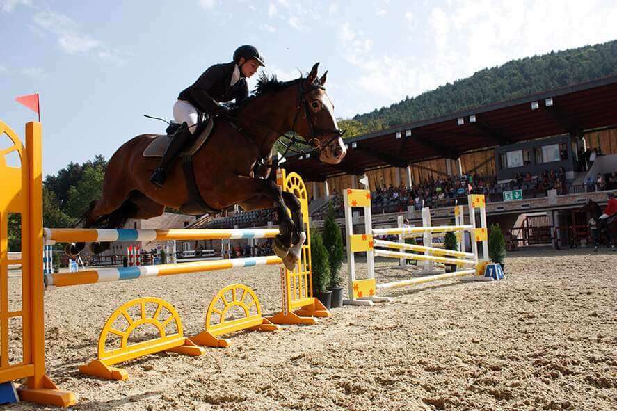 Regionális díjugrató verseny