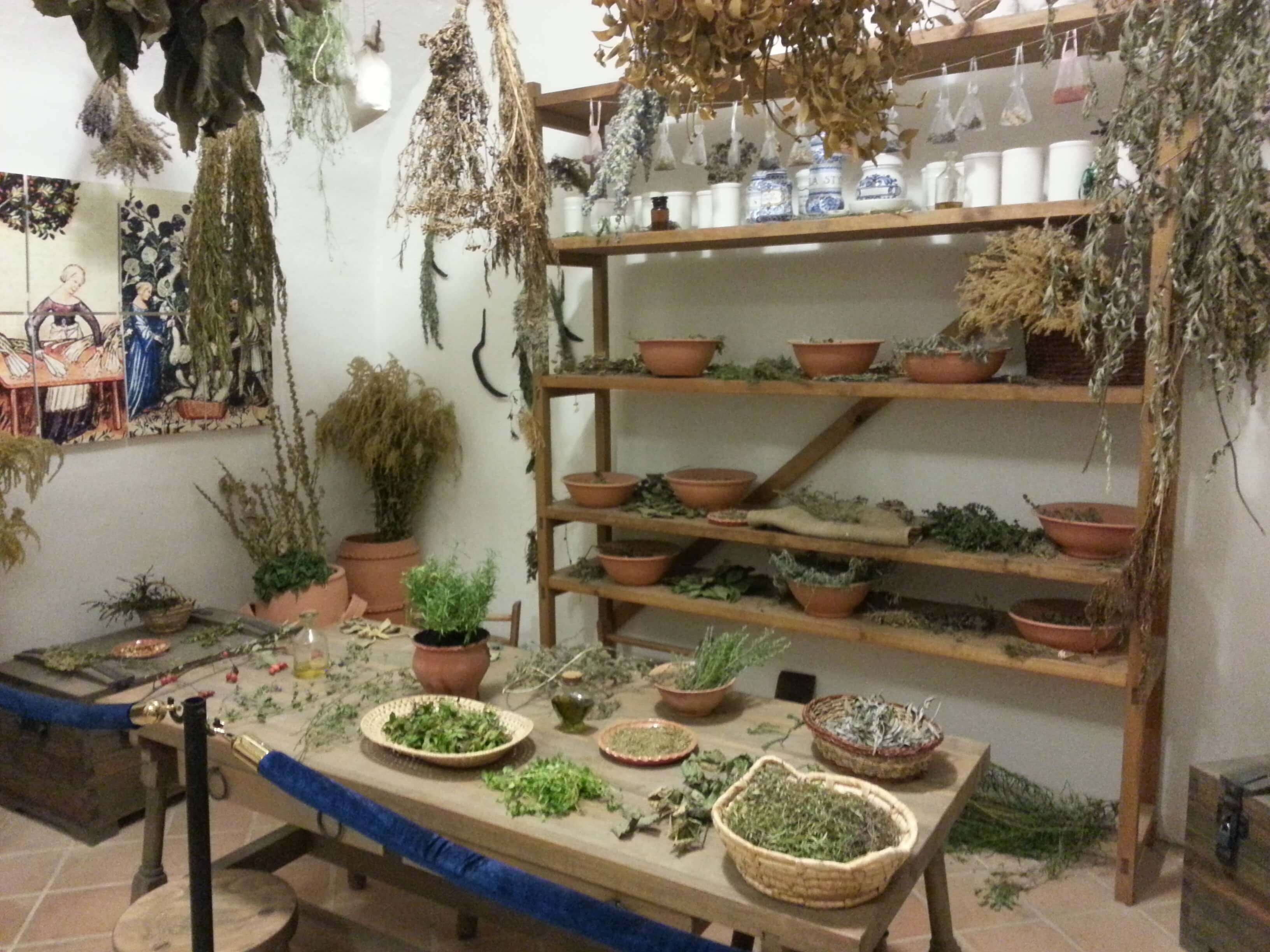 Gyógynövény terem