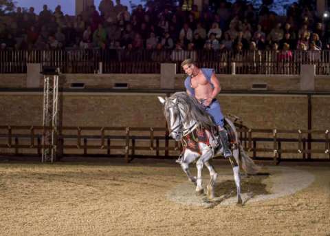 Gladiator - Musical and horse show