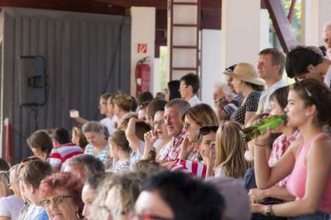 II. HORZE DIÓSGYŐR SPRINGREITEN FEST