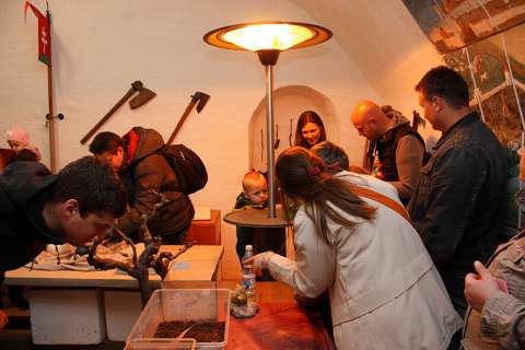 Die Nacht der Drachentöten Ritters