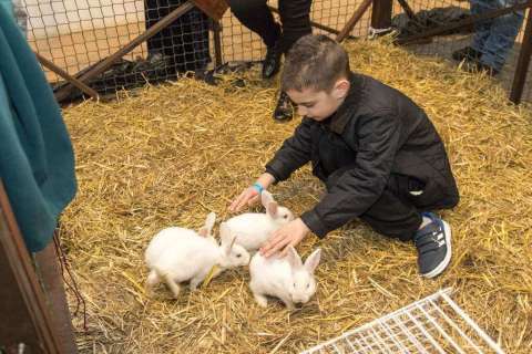 Ostern