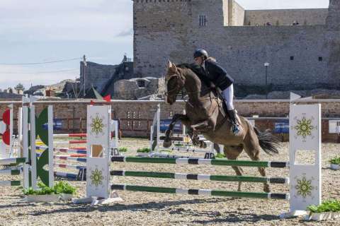 Ostern Springreiten Wettbewerb