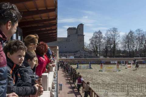 Ostern Springreiten Wettbewerb