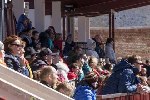 Ostern Springreiten Wettbewerb