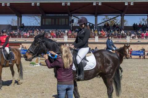 Ostern Springreiten Wettbewerb
