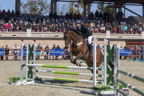 Ostern Springreiten Wettbewerb