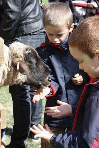 Ostern in der Burg Diósgyőr