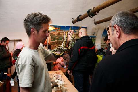 Die Nacht der Drachentöten Ritters