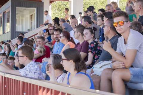 XVIII. das Mittelalterliche Treiben