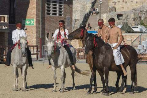 XVIII. das Mittelalterliche Treiben