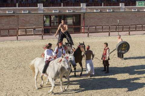 XVIII. das Mittelalterliche Treiben