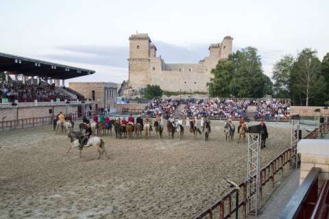 Stephen der König rockoper