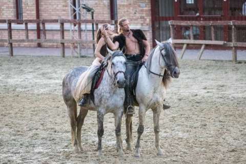 Stephen der König rockoper