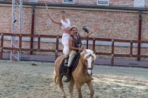 Stephen der König rockoper