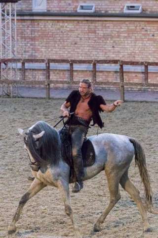 Stephen der König rockoper