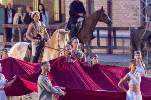Stephen der König rockoper