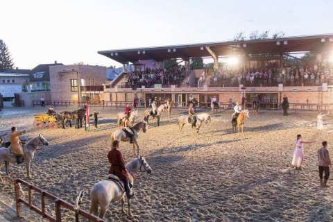 Stephen der König rockoper