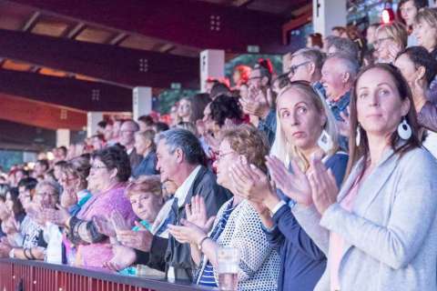 Stephen der König rockoper